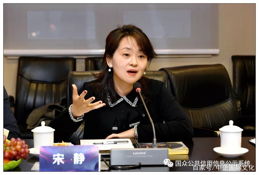 致公中央文化委员会委员 女高音歌唱家宋静发言